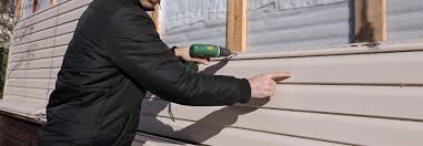 Best Historical Building Siding Restoration  in , DE